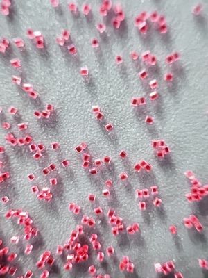 Rood Nylon Plastic Blasting Media 0,3*0,3 mm Perlen Blast Plastic